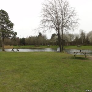 Offentlige fiskepladser herning fiskepark